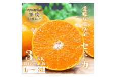 ＼みかんの大トロ/糖度12.0以上 酸1.4以下 糖酸選別品 愛媛セトカ 3kg＜D20-7＞_ みかん ミカン 柑橘 せとか フルーツ くだもの 果物 ふるーつ 青果 果実 人気 甘い ジューシー 産直 産地直送 旬 柑橘類 人気 愛媛 果汁 八幡浜市【1094585】