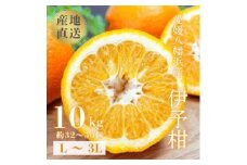 ＜爽やか香りと柔らかジューシーな果肉＞愛媛八幡浜産 宮内伊予柑 10kg＜D20-6＞【1094591】
