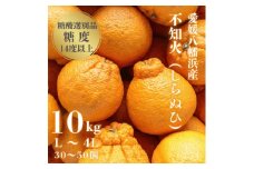 ＼糖度14.0以上酸1.4以下/糖酸選別品 愛媛産 不知火 (しらぬひ) 10kg＜D20-8＞_ デコポン と同品種 しらぬい みかん オレンジ フルーツ 旬 果物 柑橘 愛媛県 愛媛 人気 愛媛みかん 【1094587】