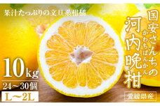国安さんちの河内晩柑10kg＜D20-11＞【1094578】