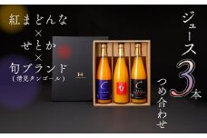 紅まどんな×せとか×旬ブランド(清見タンゴール)ジュース3本つめ合せ＜H19-7＞_ ジュース オレンジジュース フルーツ 果物 みかん ミカン オレンジ 旬 父の日 送料無料 セット 詰合せ 人気 おすすめ 【1059660】