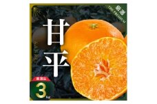 三代目がつくる甘平3kg＜C31-1＞【1042519】
