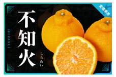三代目がつくる不知火5kg＜D31-3＞【1042518】