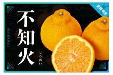 三代目がつくる不知火5kg＜D31-3＞【1042518】