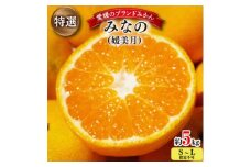 ＜2025年11月以降発送＞みなの共選・特選「みなの(旧:媛美月)」約5kg＜D28-1＞【1044600】