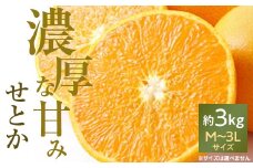 愛媛の高級柑橘の代名詞!「せとか」約3kg入(化粧箱入)＜F28-8＞_ みかん 蜜柑 ミカン かんきつ 国産 高級 フルーツ 果物 くだもの 送料無料 箱 愛媛みかん せとかみかん 【1046131】