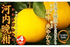 口いっぱいに広がる爽やかさ!「河内晩柑」約4kg(Mサイズ以上)＜C28-11＞【1076999】