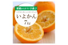 ＜2026年1月以降発送＞愛媛から「いい予感」♪ジューシー果肉いい香り いよかん7kg＜D25-7＞【1248055】