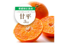 ＜2026年2月より順次発送＞愛媛限定栽培柑橘 甘平(かんぺい)3kg＜F25-8＞_かんぺい 甘平 柑橘 フルーツ 果物 くだもの みかん 人気 おすすめ 送料無料 愛媛県 八幡浜 濃厚 甘い【1268366】