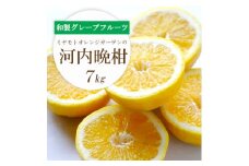 ＜2025年4月下旬頃出荷＞さっぱり爽やか 和製グレープフルーツ 河内晩柑7kg＜E25-13＞_ みかん ミカン 柑橘 フルーツ 果物 くだもの 青果 河内晩柑 晩柑 愛媛 産直 産地直送 国産 和製グレープフルーツ 旬 希少 【1268372】
