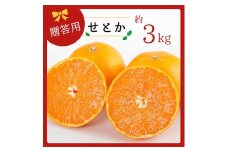 コウ果樹園の「柑橘の大トロ　せとか3kg」＜C33-1＞_みかん ミカン せとか 柑橘 フルーツ 果物 くだもの 完熟 産直 産地直送 甘い ジューシー 高糖度 愛媛 希少 おすすめ 人気 おすすめ 送料無料【1269378】