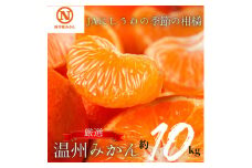 JAにしうわの季節の柑橘(温州みかん10kg)＜E08-1＞【1439471】