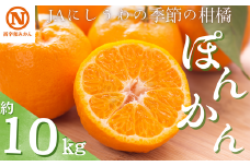JAにしうわの季節の柑橘(ポンカン 約10kg)＜F08-5＞【1474210】