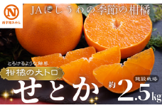 JAにしうわの季節の柑橘(せとか　約2.5kg　化粧箱　施設栽培)＜G08-6＞【1474214】