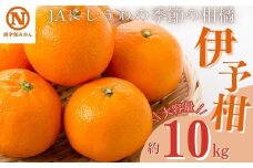 JAにしうわの季節の柑橘(伊予柑 約10kg)＜E08-7＞【1474221】