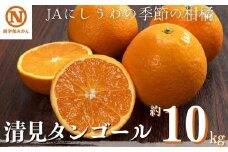 JAにしうわの季節の柑橘(清見タンゴール 約10kg)＜G08-10＞【1474254】