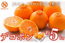JAにしうわの季節の柑橘(デコポン 約5kg　化粧箱)＜F08-8＞【1474244】