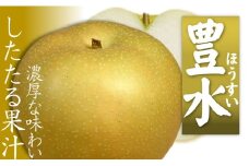 したたる果汁と濃厚な味わい 愛媛・八幡浜・特産梨「豊水」約3kg＜C28-14＞【1044539】
