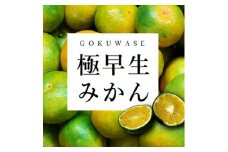まもなく収穫! 極早生みかん 5kg＜C31-15＞_ みかん ミカン 柑橘 フルーツ 果物 くだもの 青果 極早生 産地直送 産直 農家直送 5kg 【1042517】