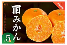 三代目がつくる高品質＜頂みかん＞5kg＜C31-16＞_ みかん 蜜柑 ミカン 愛媛みかん 愛媛 国産 箱 送料無料 農家直送 産地直送 柑橘 かんきつ 温州みかん 旬 フルーツ 果物 くだもの 【1042516】
