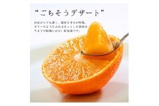 コウ果樹園の「厳選　華まどんな」3kg＜E33-8＞_ みかん 蜜柑 ミカン 柑橘類 柑橘 フルーツ くだもの 果物 人気 美味しい 愛媛県 八幡浜市 ふるさと 【1056129】