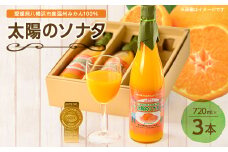 太陽のソナタ(3本入り)＜C12-2＞【1044587】