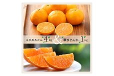 コウ果樹園の「えひめみかん4kg・華まどんな1kg 詰め合せ」＜D33-12＞_ みかん ミカン 蜜柑 フルーツ 果物 くだもの 人気 美味しい 柑橘類 柑橘 愛媛県 八幡浜市 ふるさと 【1123769】