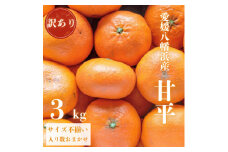 ＼ 愛媛が誇る 高級みかん 希少品種 / 訳あり 甘平 (かんぺい) 3kg＜D20-17＞【1094584】