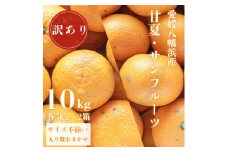 甘夏&サンフルーツ各5kg＜訳あり＞＜C20-19＞【1094577】