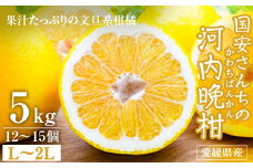 国安さんちの河内晩柑5kg＜C20-20＞_ みかん 蜜柑 ミカン 柑橘類 柑橘 かんきつ フルーツ 果物 くだもの 人気 美味しい 愛媛県 八幡浜市 ふるさと 【1094579】