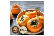 《八幡浜特産 国内最大級の 柿》 富士柿 5kg 種無し＜D20-21＞【1094600】