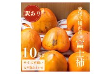 《八幡浜特産 国内最大級の 柿》 富士柿 10kg 種無し＜訳あり＞＜F20-22＞【1094601】