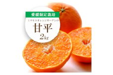 ＜2026年2月より順次発送＞愛媛限定栽培柑橘 シャキッと新食感!甘平 2kg＜E25-36＞_ みかん ミカン 柑橘 フルーツ ふるーつ 果物 くだもの 青果 甘平 かんぺい 甘い 濃厚 高糖度 愛媛 希少 産直 産地直送 【1044411】