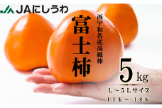 JAにしうわの季節のくだもの(富士柿5kg)＜E08-23＞【1443271】