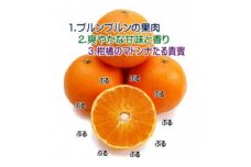 柑橘界のスイーツ!?愛媛県八幡浜産媛まどんな5kg＜訳あり＞＜E35-10＞【1492233】