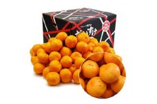 愛媛県産ポンカン10kg＜訳あり＞＜D35-14＞【1492242】