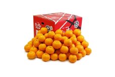 愛媛県産ポンカン10kg「中玉」＜F35-15＞【1492241】