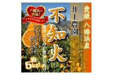 井上農園の「不知火(しらぬい)」約5kg　＜C39-4＞【1262190】