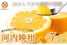 JAにしうわ季節の柑橘(河内晩柑 約7.5kg)＜D08-33＞_ みかん ミカン 河内晩柑 晩柑 柑橘 フルーツ くだもの 果物 ふるーつ 青果 果実 甘い ジューシー 産直 産地直送 旬 柑橘類 人気 愛媛 果汁 和製グレープフルーツ 【1474308】