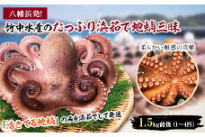 八幡浜発!竹中水産のたっぷり「浜茹で地蛸」三昧!1.5kg前後＜F22-189＞_ たこ タコ 地たこ 蛸 地蛸 浜ゆで 魚介 魚介類 海鮮 天然 茹で 新鮮 刺身 冷蔵 サラダ 食べ応え 活き 【1043154】