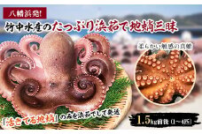 八幡浜発!竹中水産のたっぷり「浜茹で地蛸」三昧!1.5kg前後＜F22-189＞_ たこ タコ 地たこ 蛸 地蛸 浜ゆで 魚介 魚介類 海鮮 天然 茹で 新鮮 刺身 冷蔵 サラダ 食べ応え 活き 【1043154】