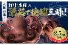 八幡浜発!竹中水産のたっぷり「浜茹で地蛸」三昧!たっぷり2.5kg前後＜H22-190＞【1043153】