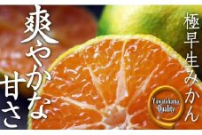 露地の初物「極早生みかん」 約5kg＜C28-26＞【1125792】