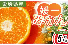 ＜2025年11月以降発送＞八幡浜市向灘地区産「媛一みかん」約5kg(家庭用)＜C28-27＞【1051846】