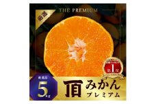 三代目の頂みかんTHEプレミアム＜小玉サイズ＞5kg＜C31-19＞【1088576】