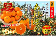 やまご農園 高糖度みかん!「あけぼの」＜C39-11＞_ みかん ミカン 柑橘 温州 果物 くだもの フルーツ 旬 愛媛 コク 甘み 国産 産直 産地直送 小玉 旬 濃厚 冷蔵 高糖度 極早生 【1491797】