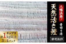 竹中水産の八幡浜発!「骨切り鱧・1kg以上」＜F22-207＞【1052349】