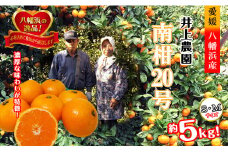 M、Sサイズでお届け・濃厚な味わい! 井上農園「南柑20号」約5kg ＜C39-12＞【1245424】