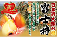 甘さにニッコリ日本最大級の柿「富士柿」約5キロ ＜D39-15＞【1236930】