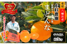 ギフト対応化粧箱入・上杉農園のぷるぷる新食感!「マドンナ」約3kg＜D39-16＞【1251804】